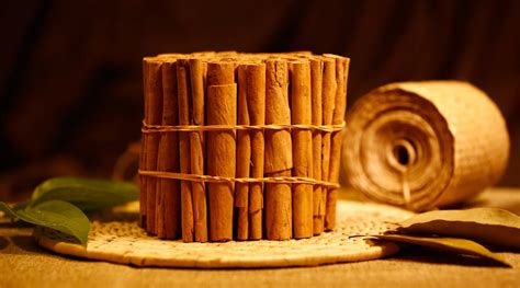 Home - Ceylon True Cinnamon | Cinnamon Sri Lanka | Cinnamon powder Sri Lanka | Cinnamon supplier ...