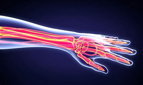 Denosumab Biosimilar Demonstrates Noninferiority to Prolia in Postmenopausal Osteoporosis