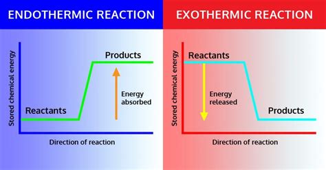 Two Step Exothermic Reaction Diagram