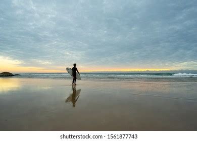 Surfing On Gold Coast Australia Stock Photo 1561877743 | Shutterstock