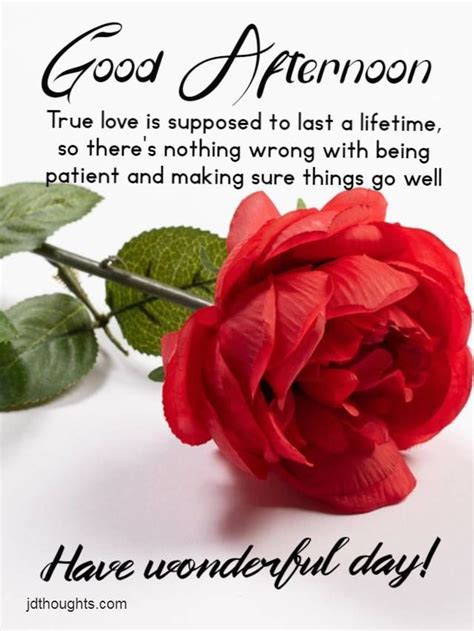 a red rose sitting on top of a white table next to a quote that says ...