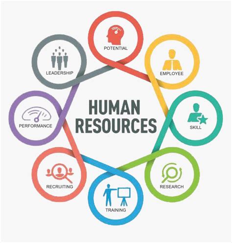 Human Resources Department Logo, HD Png Download , Transparent Png ...