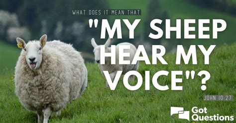 What does it mean that “my sheep hear my voice” (John 10:27 ...