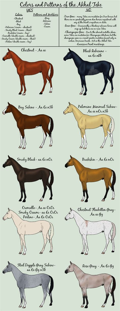 Colors of the Akhal Teke by DancingDragonStables on DeviantArt