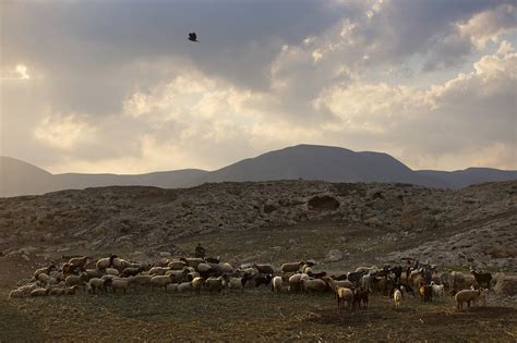 Shaked: Netanyahu could annex Jordan Valley in a day if he wanted | The Times of Israel