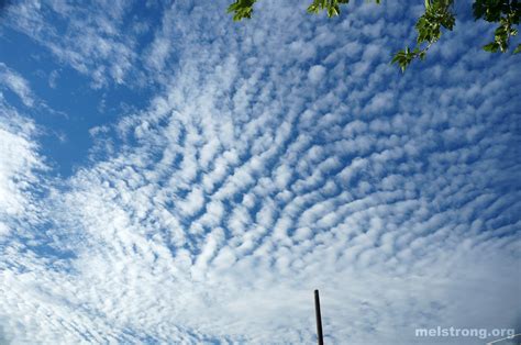 Cirrocumulus Images