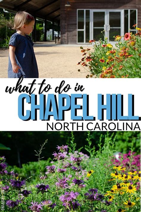 25 Best Things to Do in Chapel Hill and Orange County NC