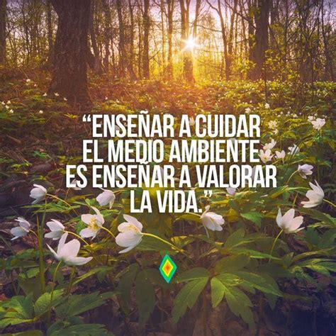 Pin de Luisa Fernanda Hernandez Avila en MENSAJES | Frases ambientales, Frases ecologicas ...