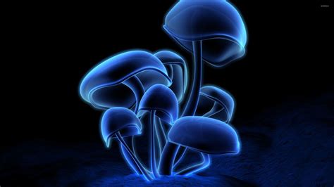 Cute Mushroom Wallpapers - Top Free Cute Mushroom Backgrounds - WallpaperAccess