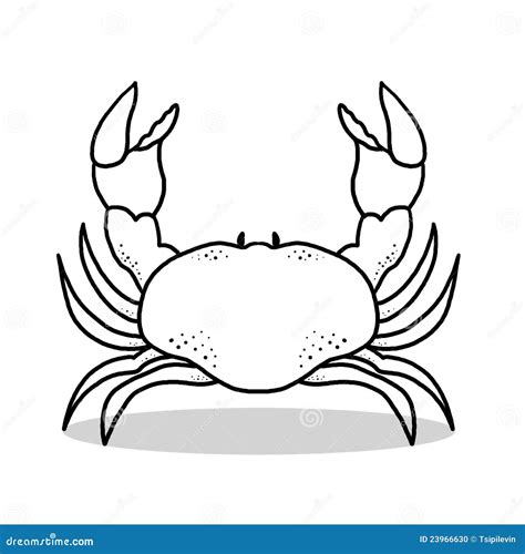 Crab outline illustration stock illustration. Image of outline - 23966630