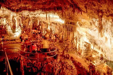 The Caves of Drach Full or Half-Day Tour from the South in Mallorca | My Guide Mallorca