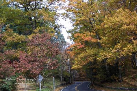 Arnold Arboretum: Fall