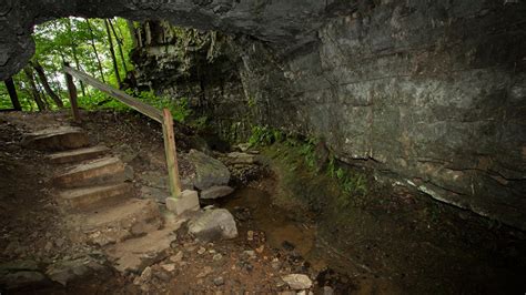 10 Tennessee Caves You Want to Visit and Explore | WanderWisdom