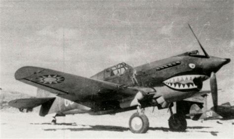 Flying Tiger P-40 VII