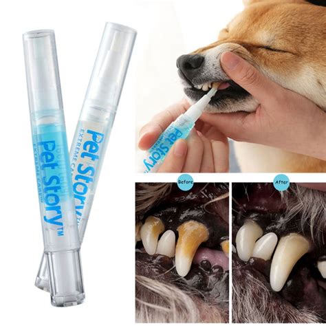 Pet Teeth Cleaning Kit, Pet Beauty Toothbrush Dog Cat Tartar Dental Stone Cleaning Pen, 3ml ...