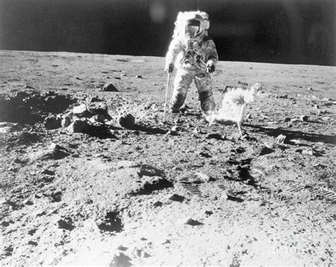 Astronaut Walking On Moon During Apollo Photograph by Bettmann - Fine ...