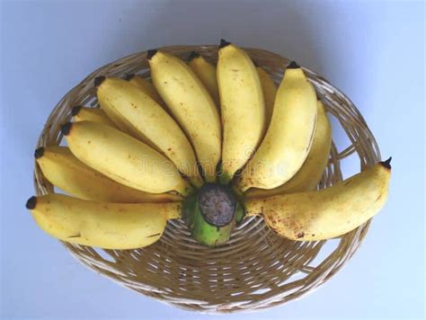 Pisang Raja - JOMBULKBUY