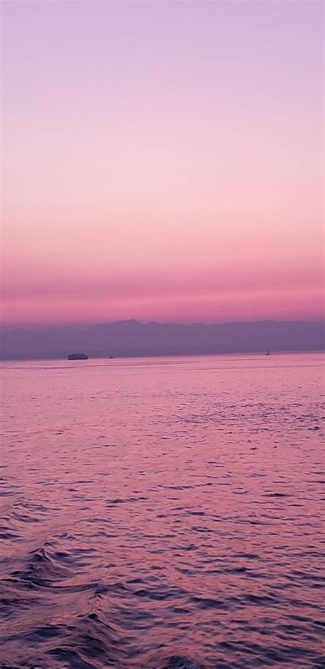 The Olympic mountains at sunset. : r/pics