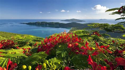 Caribbean Islands Beautiful View Exotic Holiday Wallpaper Hd : Wallpapers13.com