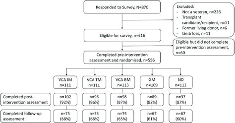 Study flowchart. BM, blended vascularized composite allograft ...