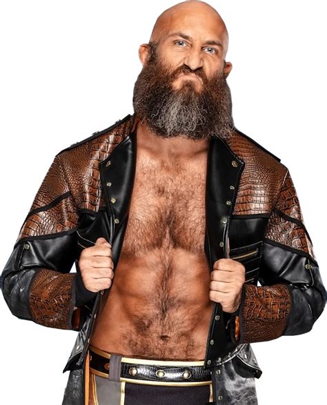 Tommaso Ciampa WWE NXT 2022 by YKPrihodilo on DeviantArt