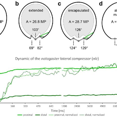 10000 PDFs | Review articles in HIGH RESOLUTION MASS SPECTROMETRY