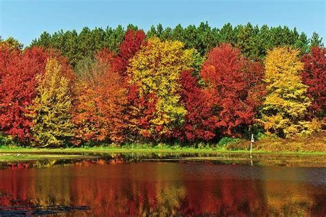 Fall color show begins in Michigan | Lifestyles | tctimes.com