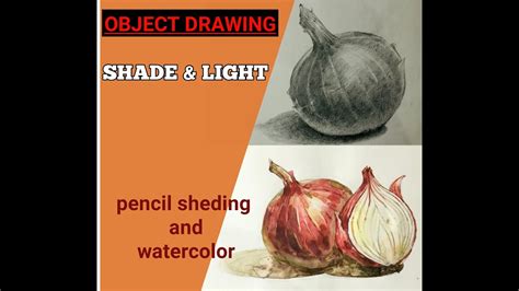 Elementary Intermediate Drawing | Object drawing pencil shading | Watercolor painting for ...