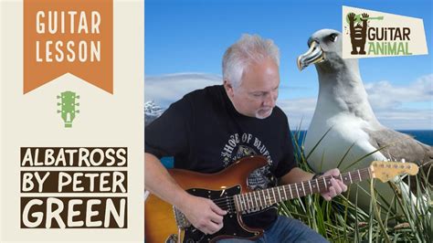 How to Play Albatross by Peter Green, Fleetwood Mac - Guitar Lesson Chords - Chordify