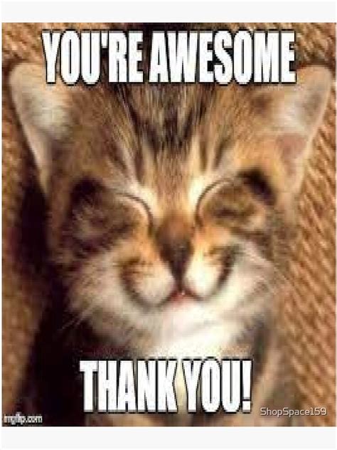 " thank you meme,thank you memes" Poster for Sale by ShopSpace159 | Redbubble