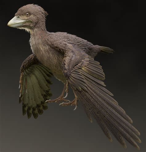 Fossil of Early Cretaceous bird from Japan confirmed to be new species - The Archaeology News ...