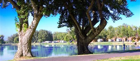 Riverland Resort | Rv travel destinations, Resort, Rv parks