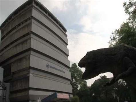 National Museum Of Natural History, New Delhi - YouTube