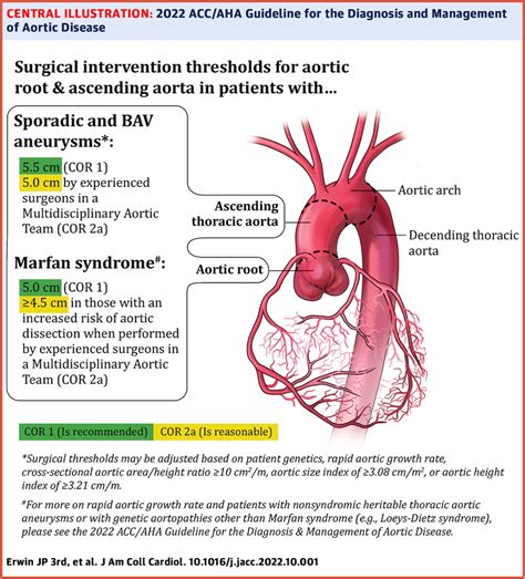 Ascending Thoracic Aortic Aneurysm