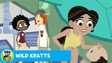 WILD KRATTS | Teaching Jimmy to Swim | PBS KIDS | WPBS | Serving ...