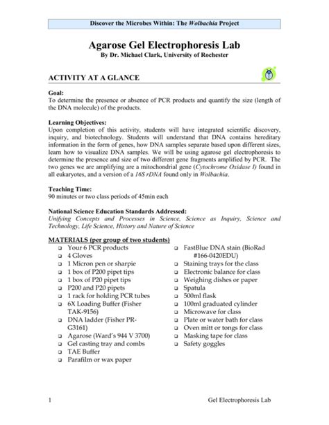 Agarose Gel Electrophoresis Lab