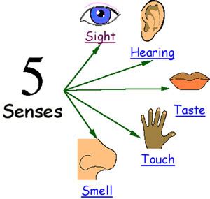 Bonnie's Books: Five senses? Six? Seven?