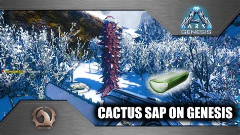 How To Get Cactus Sap On Ark The Island : You can get cactus today we are raiding a nice base we ...