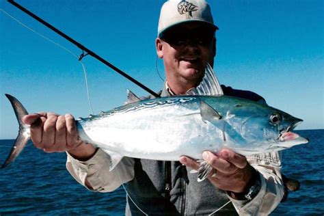 Fly fishing for false albacore: 4 things you're doing wrong. – Flymen ...