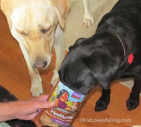 Talking Dogs at For Love of a Dog: Halo Healthsome Dog Treats from ...