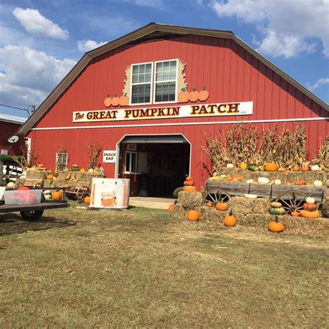 The Best Pumpkin Patch in Every State