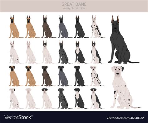 Great dane clipart different poses coat colors set