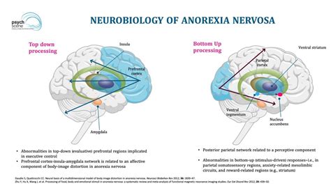 Anorexia Nervosa - A Review of Neurobiology, Diagnosis and Management