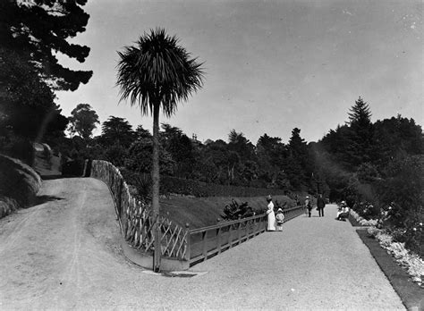 Archives – Friends of the Wellington Botanic Garden