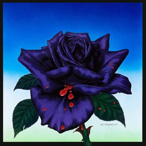 Thin Lizzy Black Rose Album Cover Original Artwork 1976 16x11