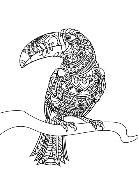 Free Printable Coloring Pages Birds