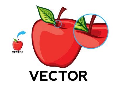 Explained: Bitmap versus Vector Graphics | Tips | Scan2CAD