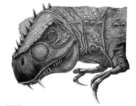 T Rex Drawing Realistic Today i show you this drawing of a t rex with ...
