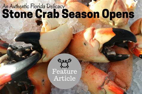 The 2017 Florida Stone Crab Season Opens Sunday - South Florida Reporter