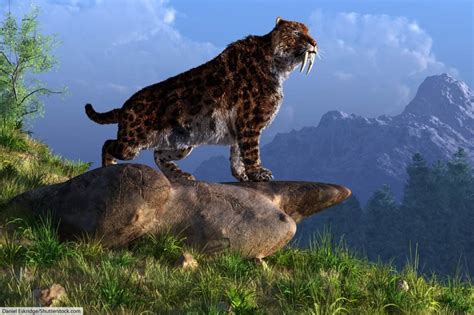 Smilodon Facts For Kids & Adults: Prehistoric Animal Info & Pictures